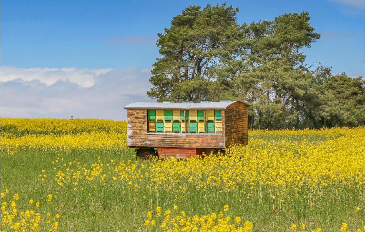 Reetdachhaus 26 Auf Usedom Villa Kutzow Luaran gambar